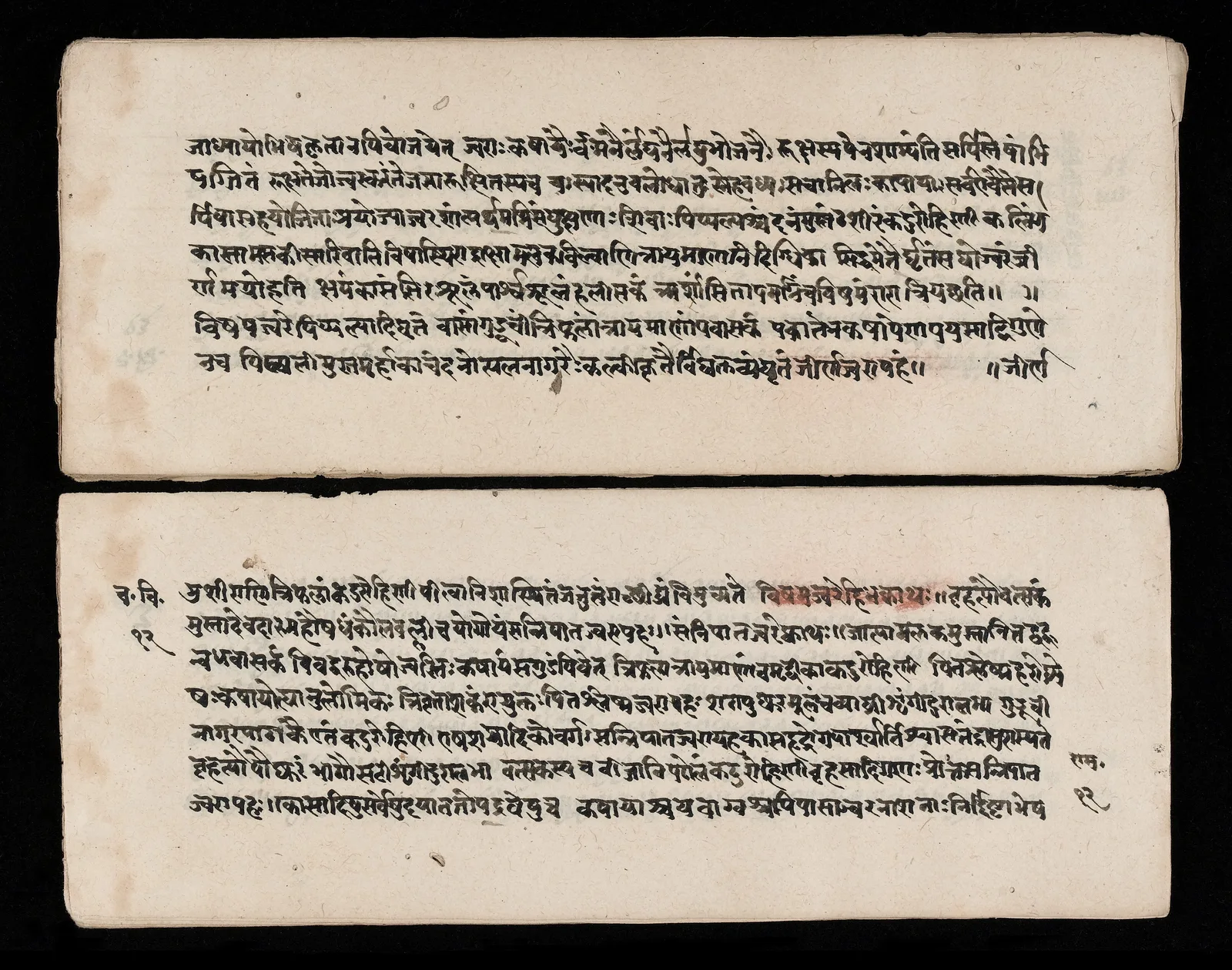 Palm-leaf manuscript page of the Charaka Samhita