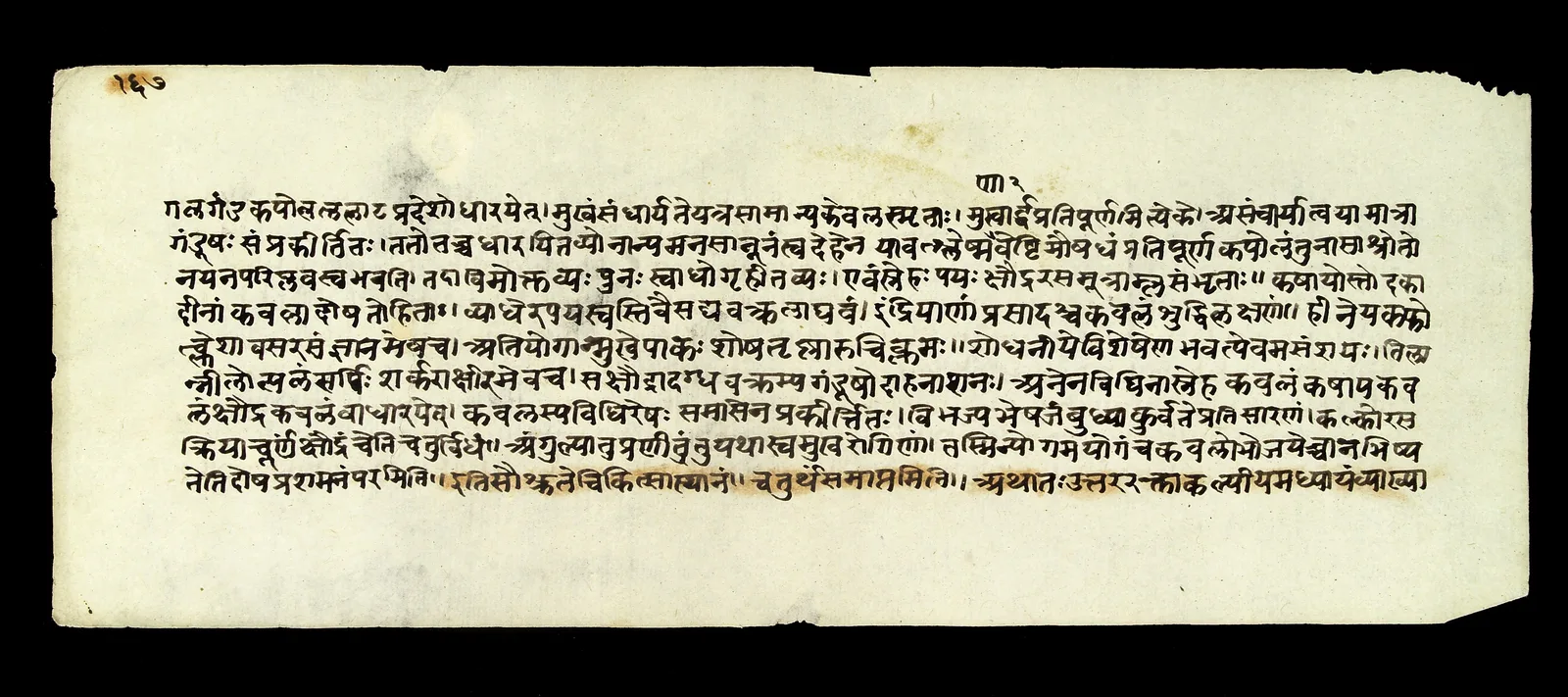 Palm-leaf manuscript of the Sushruta Samhita